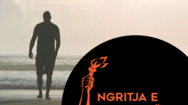 ngritja-e-kampioneve-programet